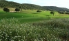 Le plus beau golf de Corse   Domaine de Murtoli 5*