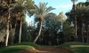 Golf Marrakech_005