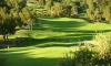 golf st andreol_05