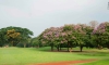 The Royal Calcutta golf club 2
